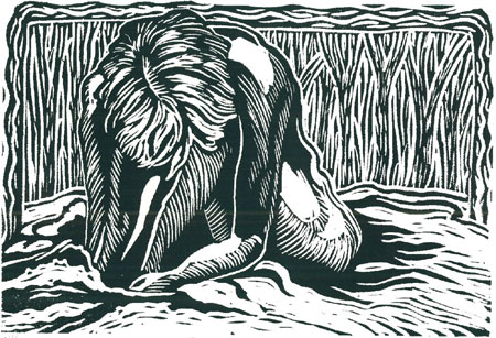 Karen Gilmore, "Forest Deep"